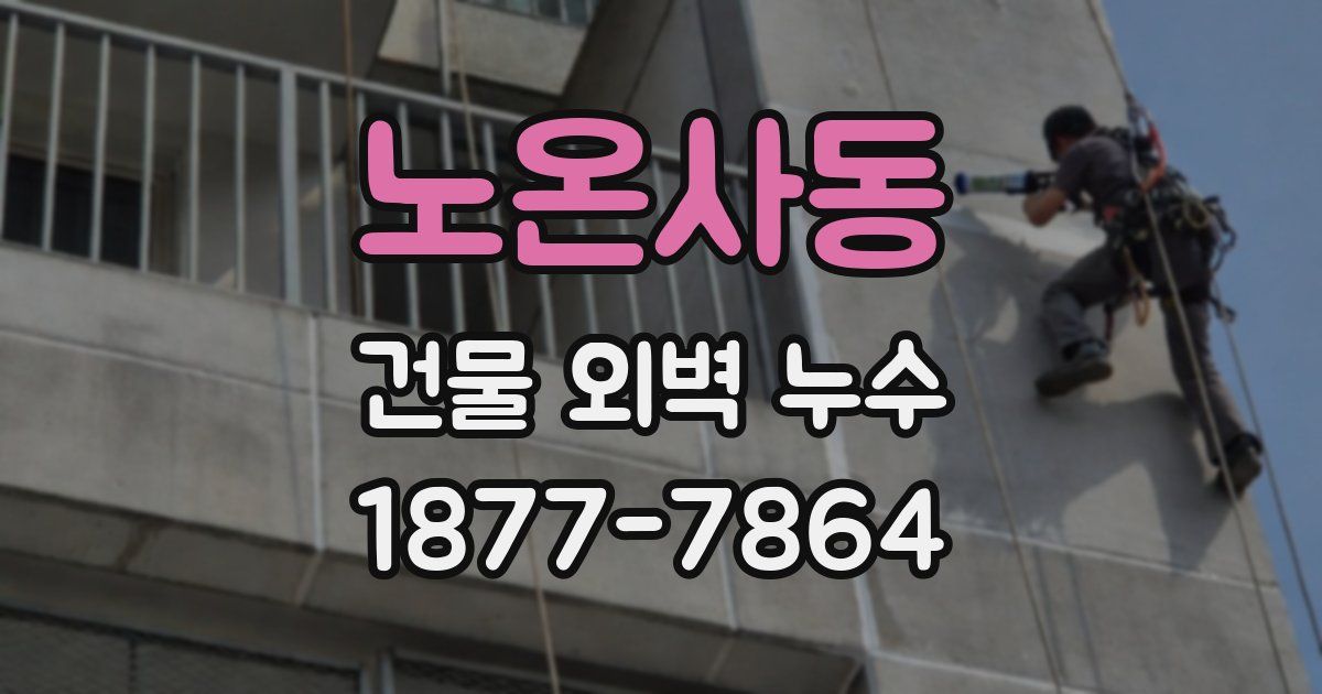 노온사동 건물 외벽 누수