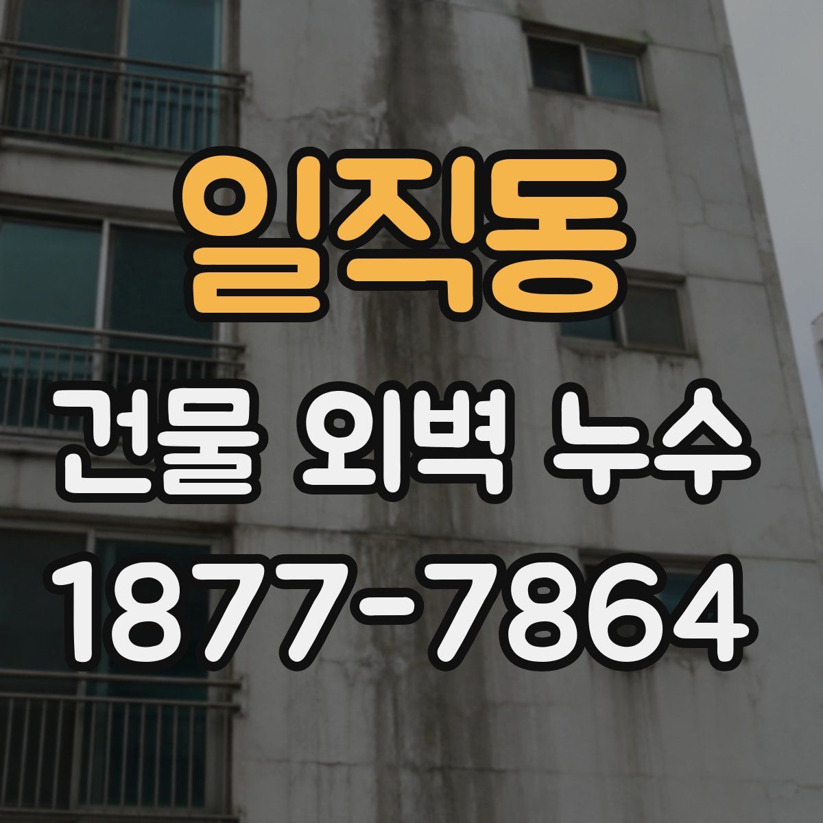 일직동 건물 외벽 누수