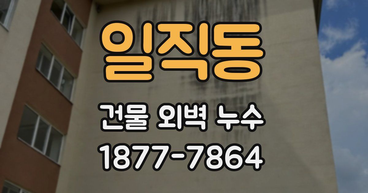 일직동 건물 외벽 누수