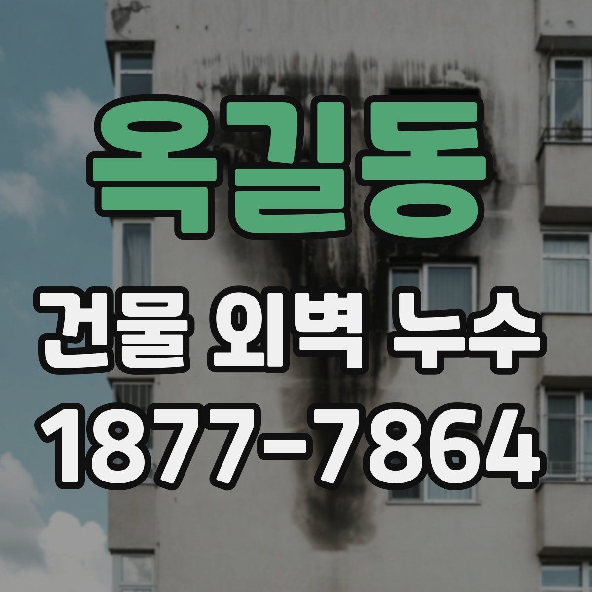 옥길동 건물 외벽 누수 보수 일정과 진행 순서