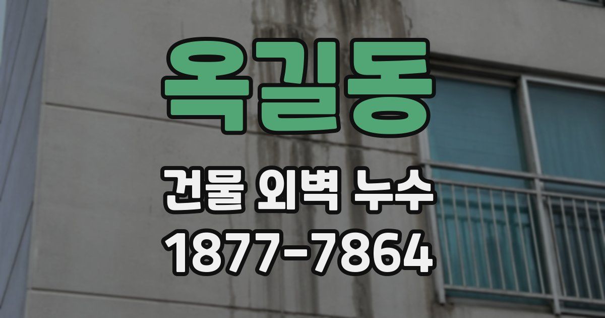 옥길동 건물 외벽 누수