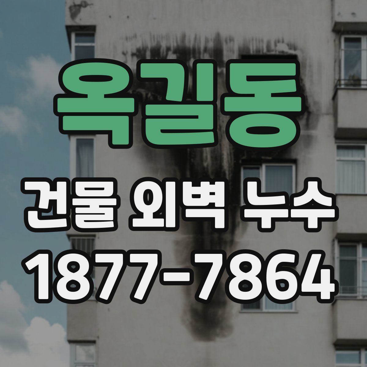 옥길동 건물 외벽 누수