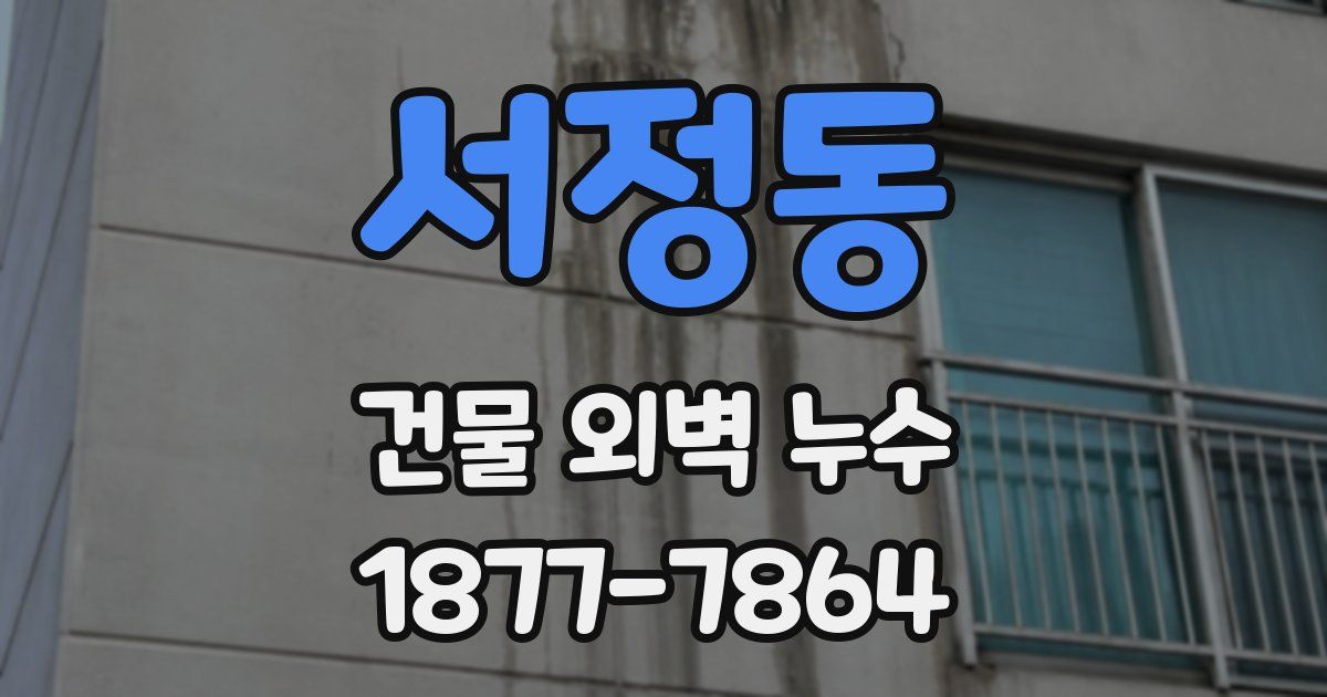 서정동 건물 외벽 누수