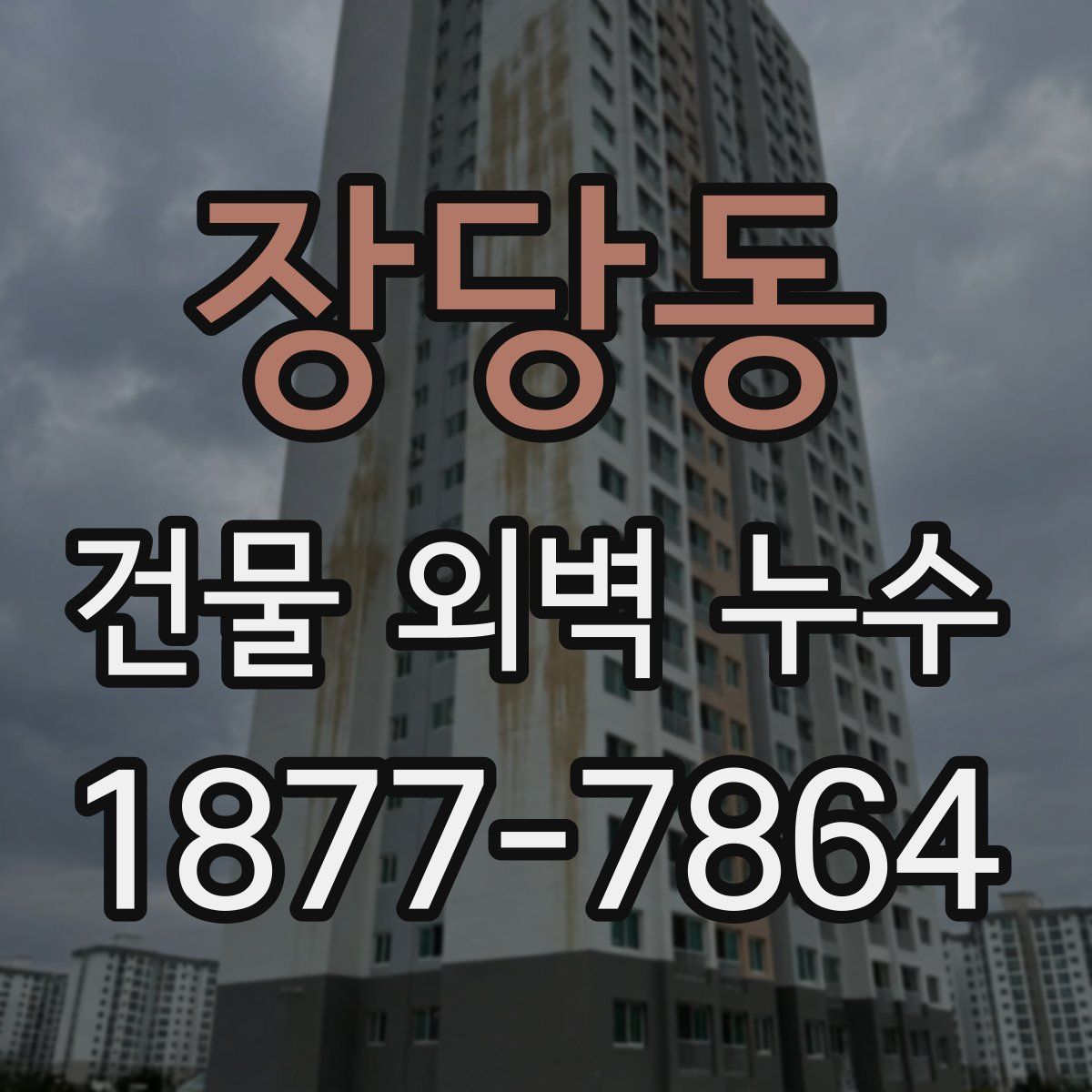 장당동 건물 외벽 누수