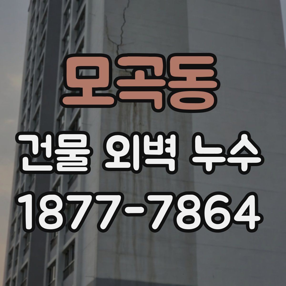모곡동 건물 외벽 누수 장마철 대비 점검 체크