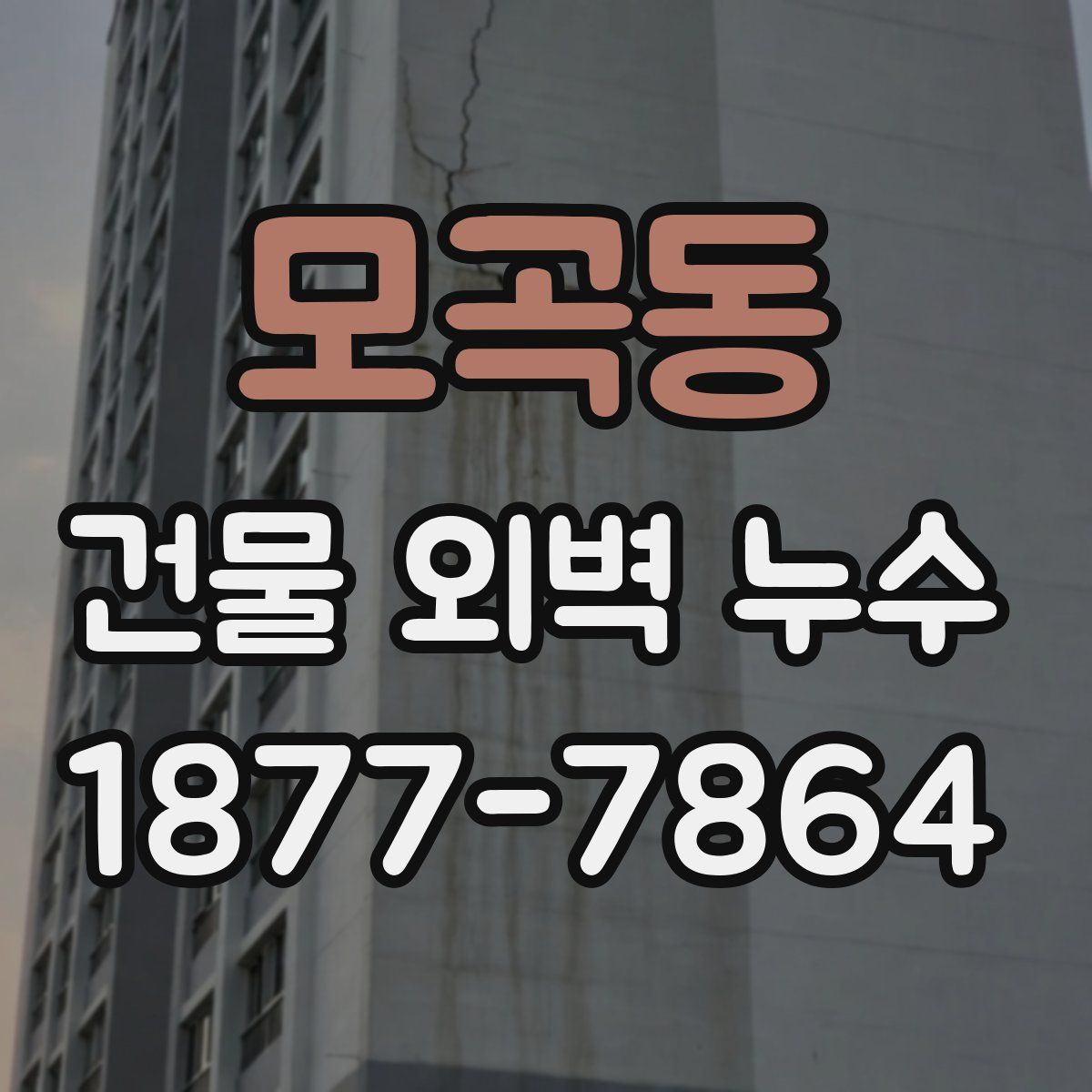 모곡동 건물 외벽 누수