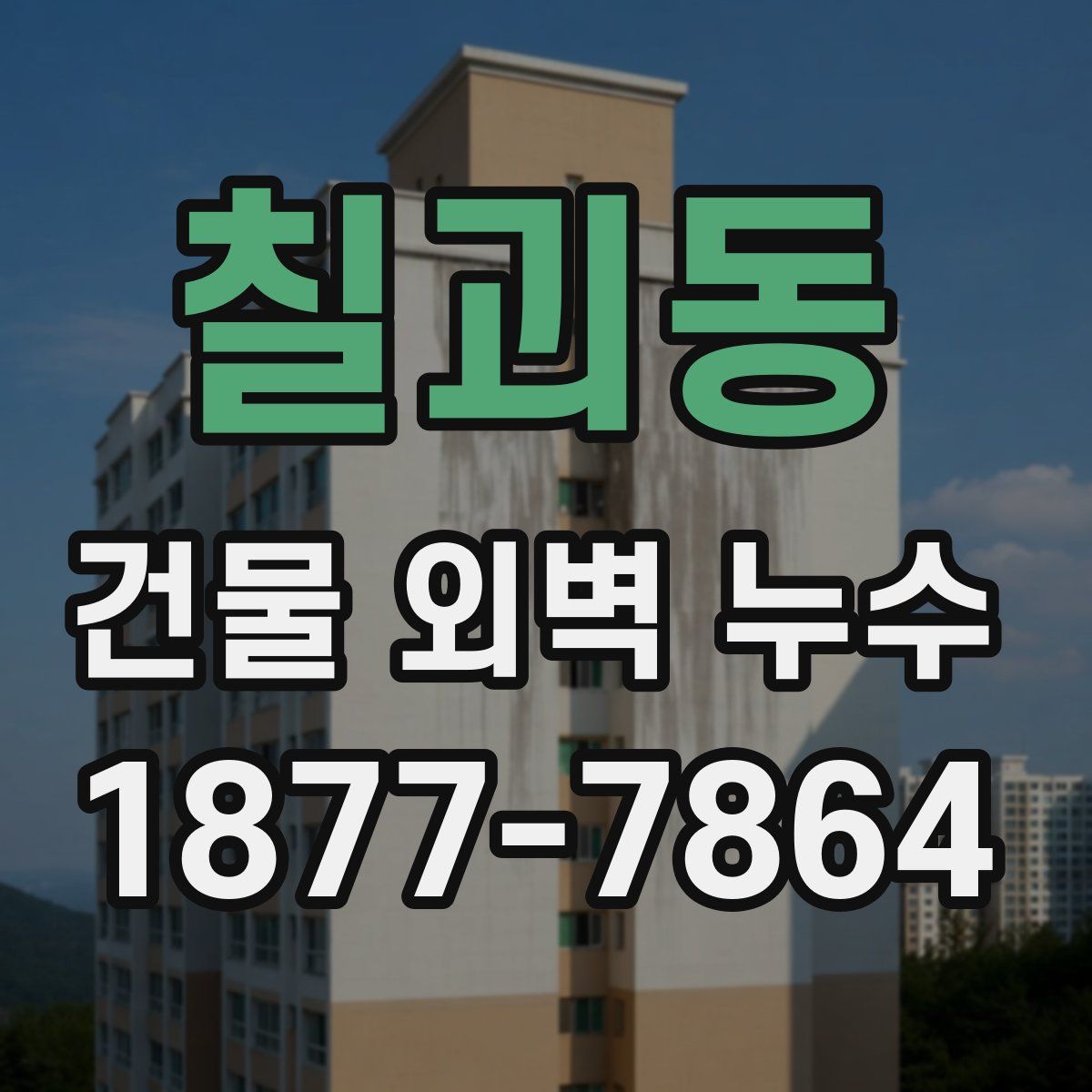 칠괴동 건물 외벽 누수