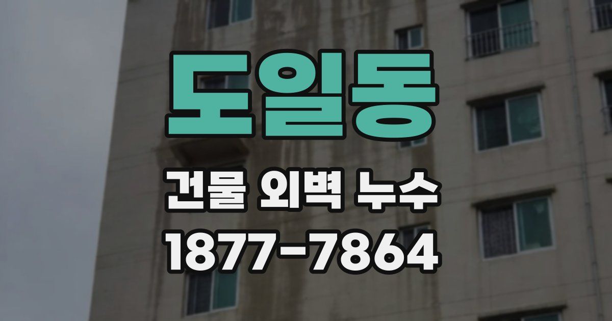 도일동 건물 외벽 누수