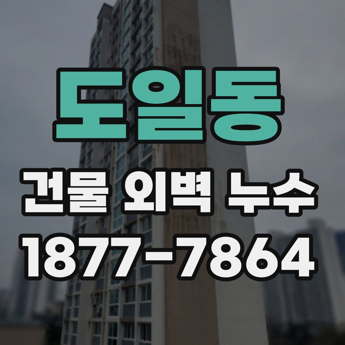 도일동 건물 외벽 누수