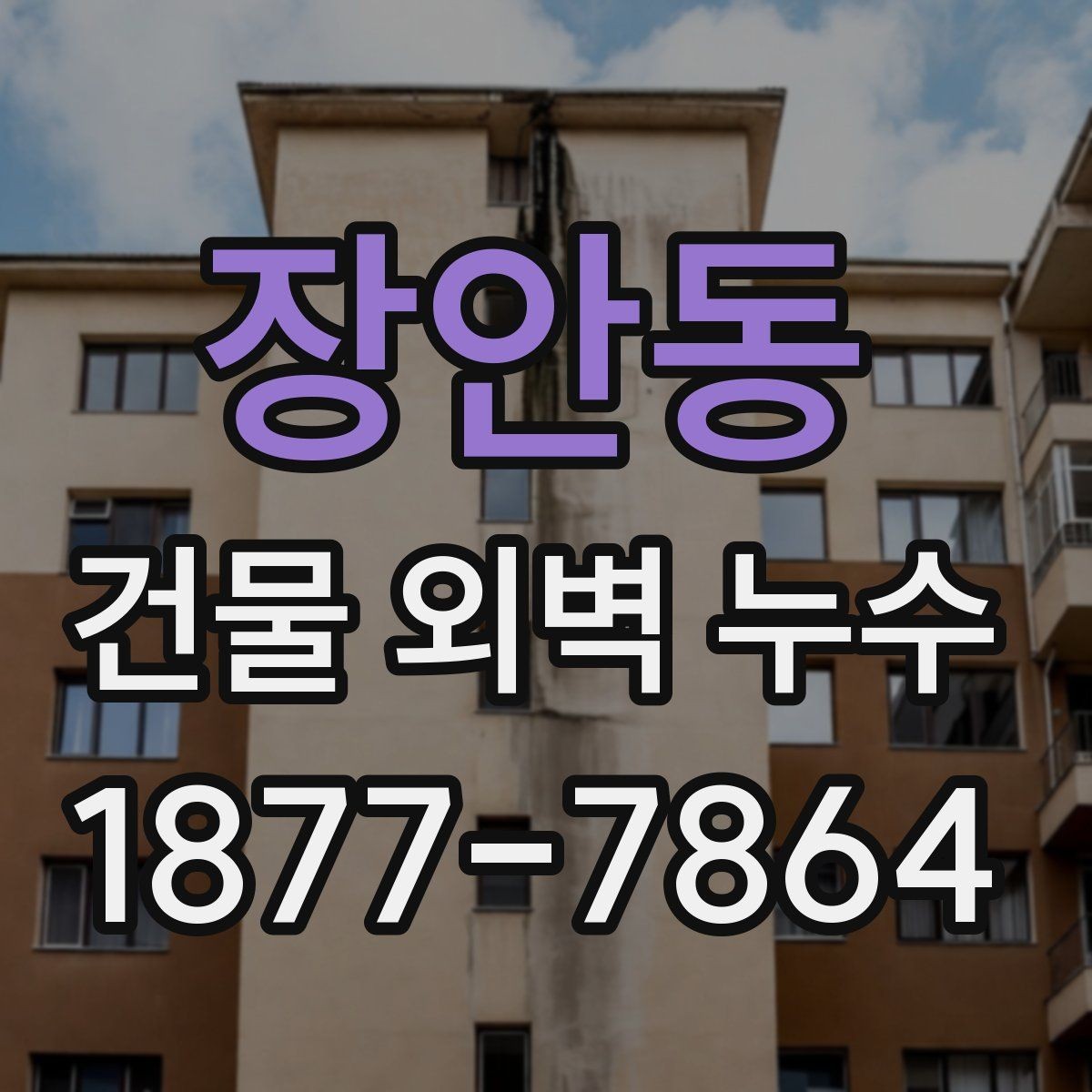 장안동 건물 외벽 누수 예방을 위한 관리 방법