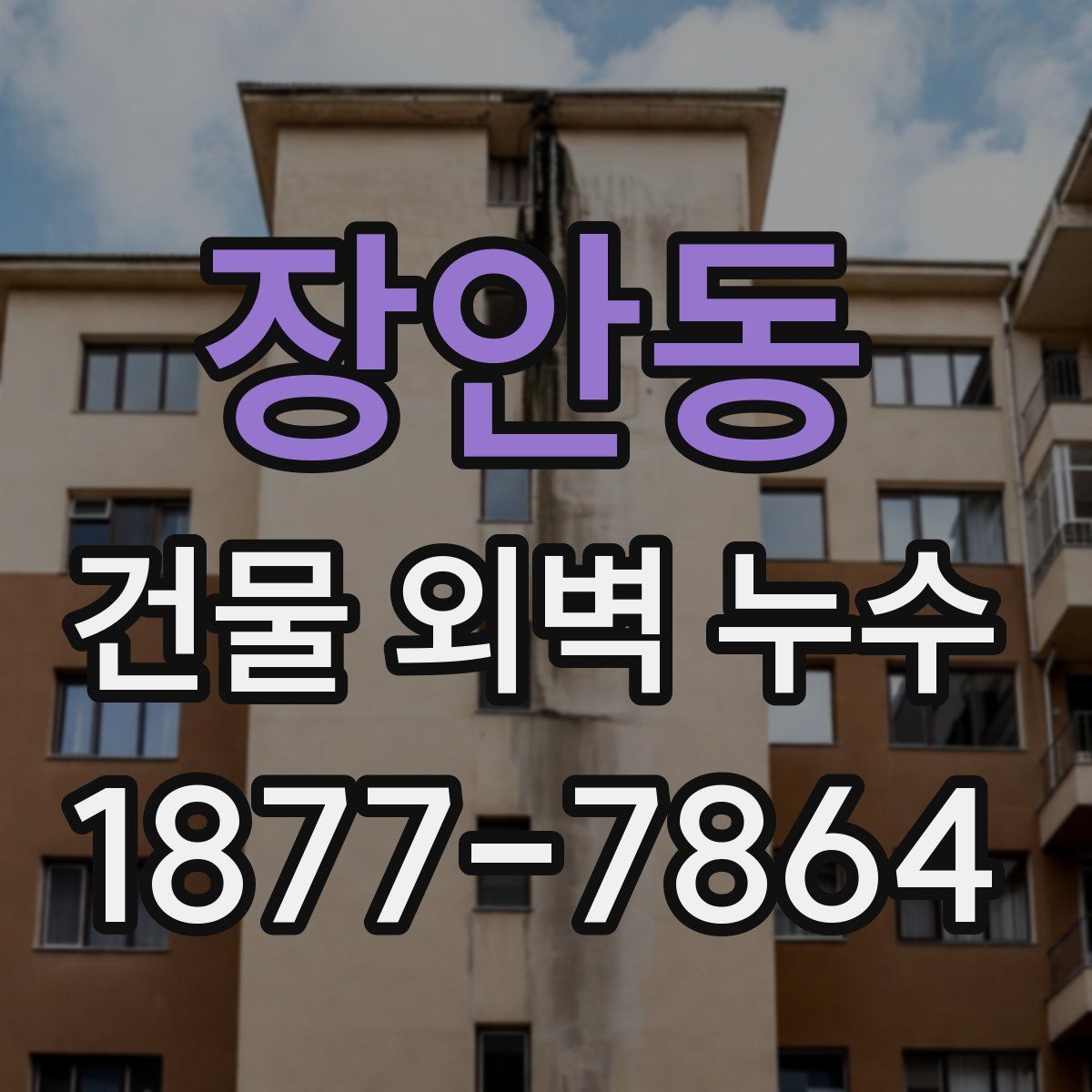 장안동 건물 외벽 누수