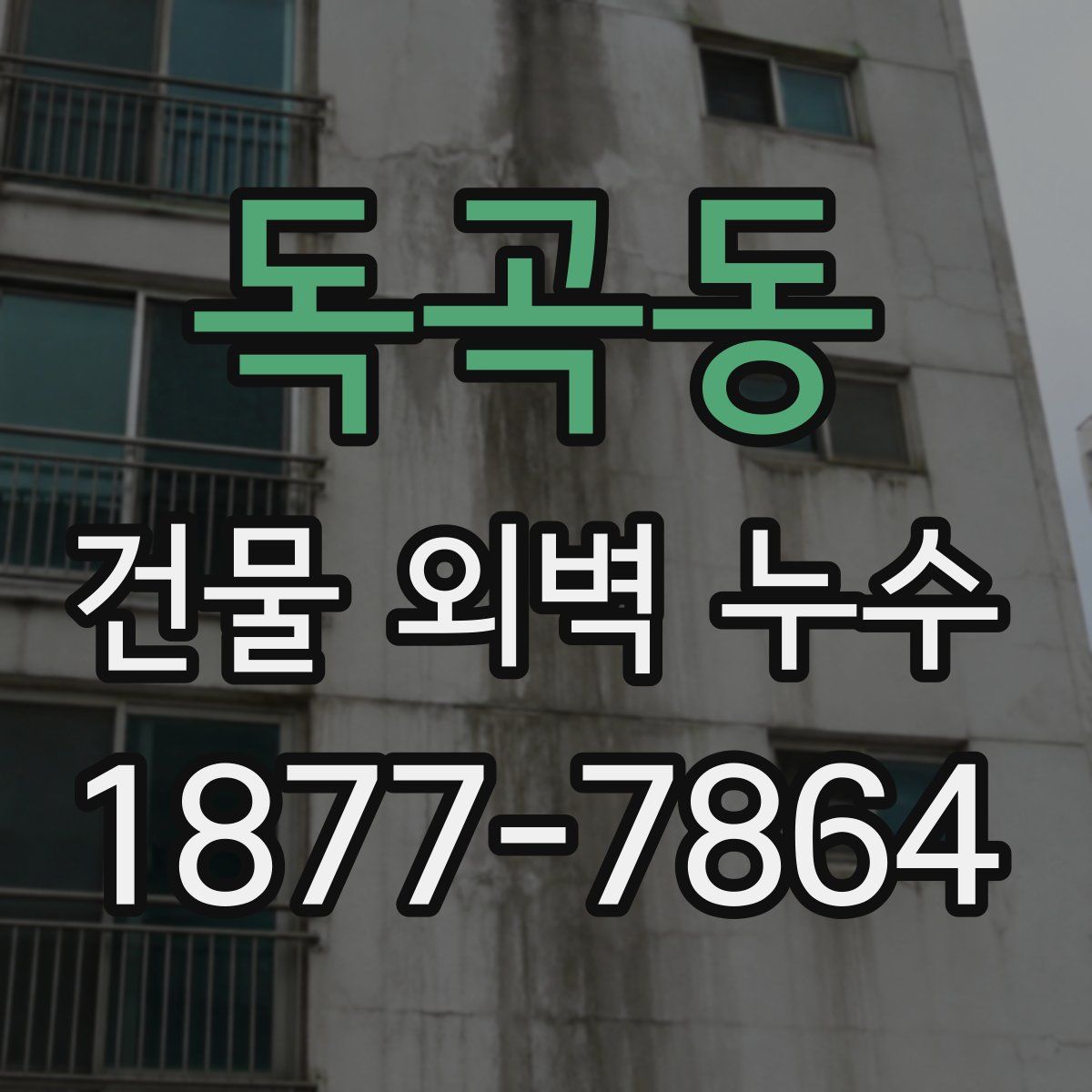 독곡동 건물 외벽 누수