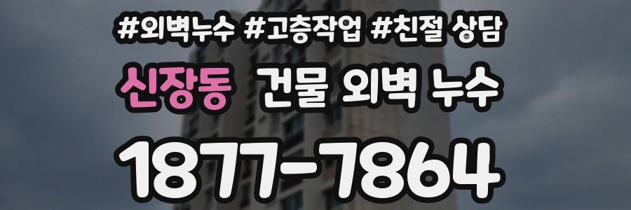 신장동 건물 외벽 누수