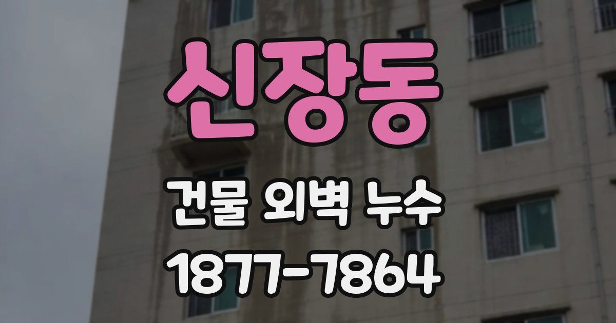 신장동 건물 외벽 누수
