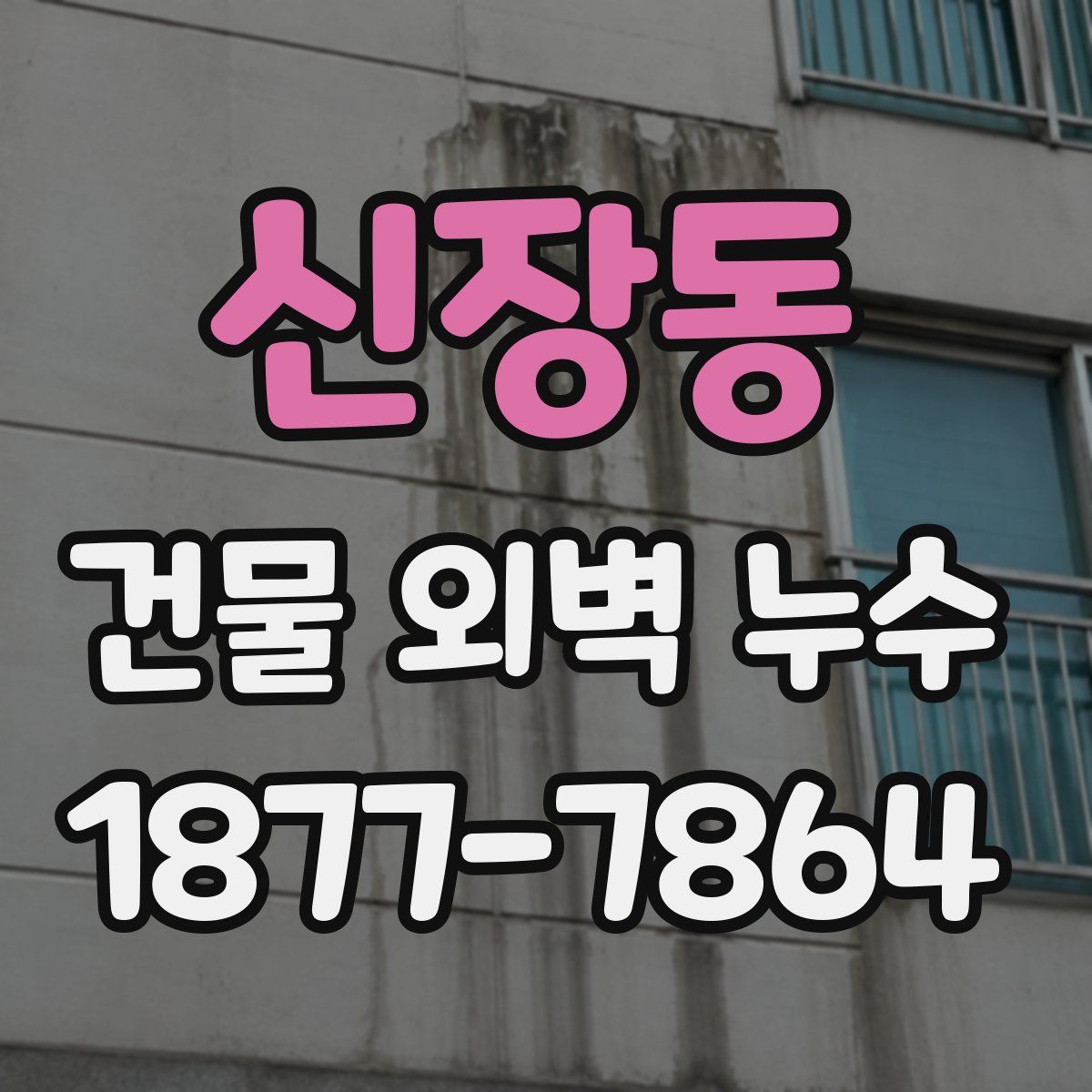 신장동 건물 외벽 누수