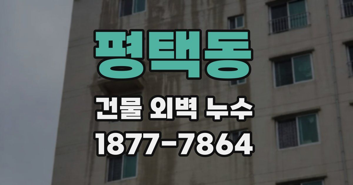평택동 건물 외벽 누수