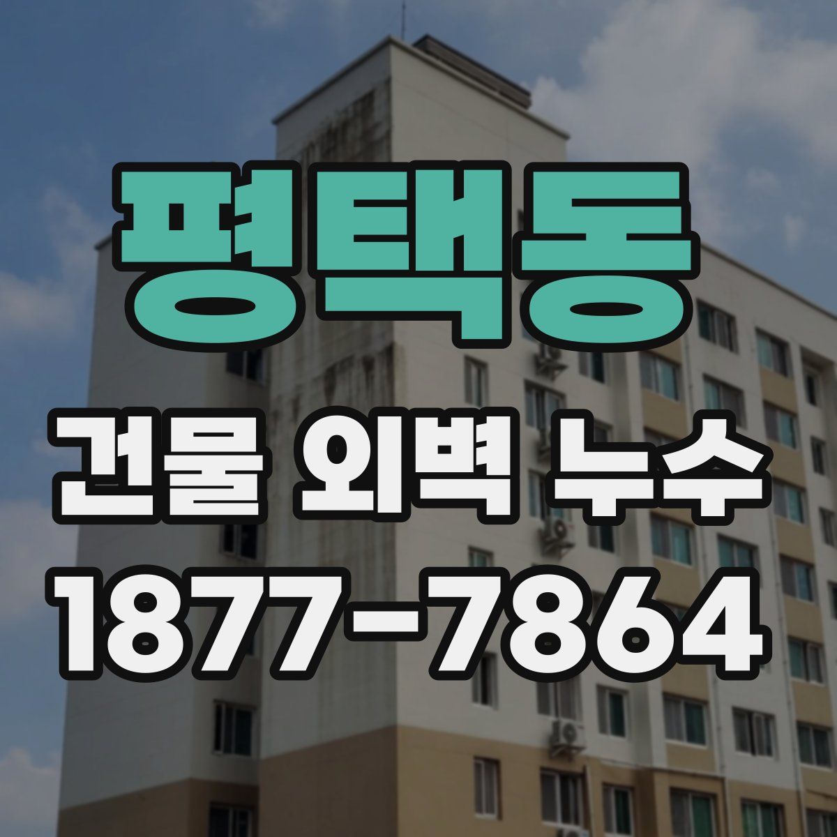 평택동 건물 외벽 누수