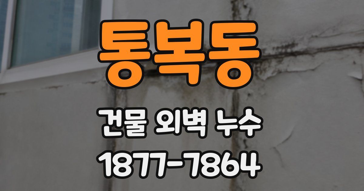 통복동 건물 외벽 누수