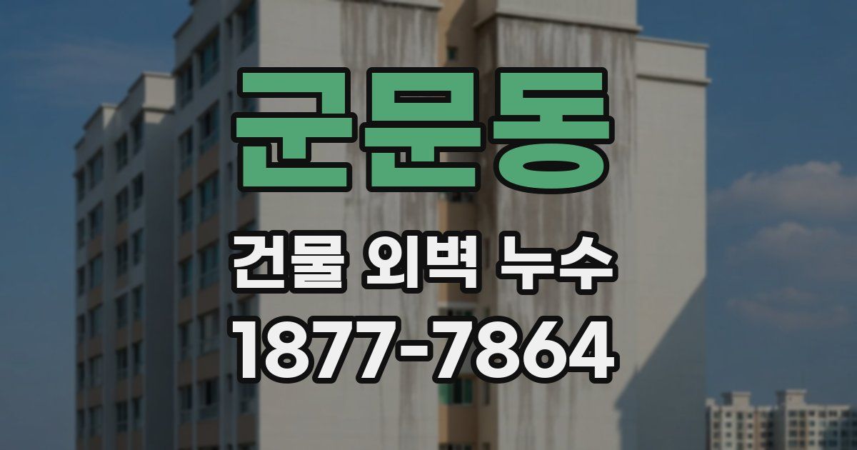 군문동 건물 외벽 누수