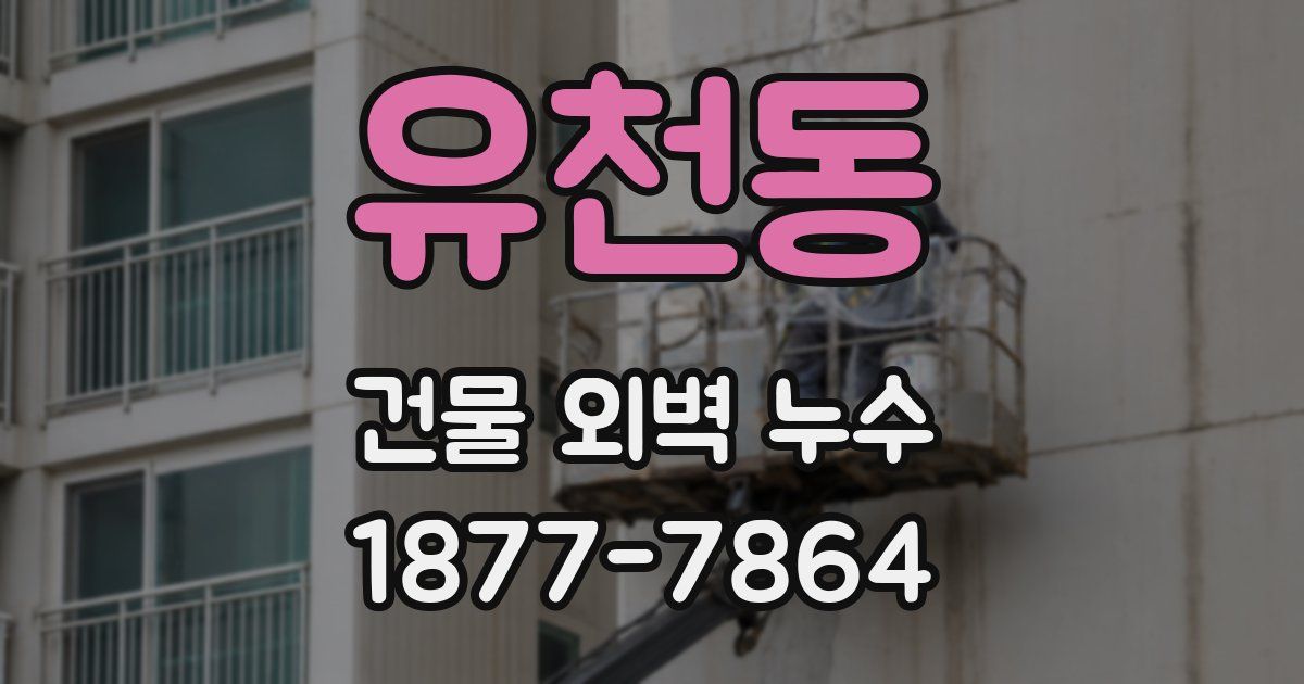 유천동 건물 외벽 누수