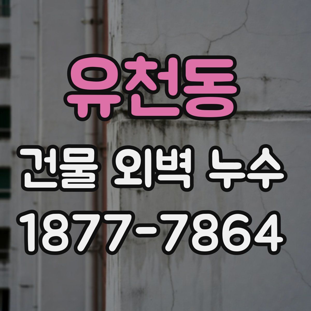유천동 건물 외벽 누수