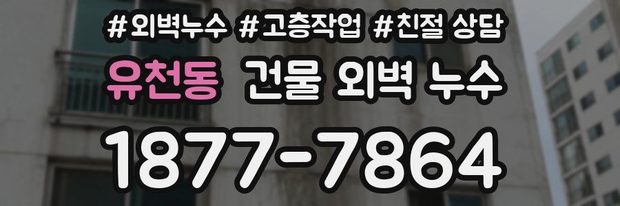 유천동 건물 외벽 누수