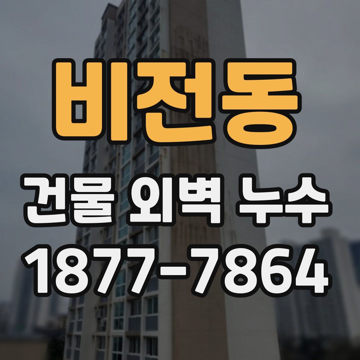 비전동 건물 외벽 누수