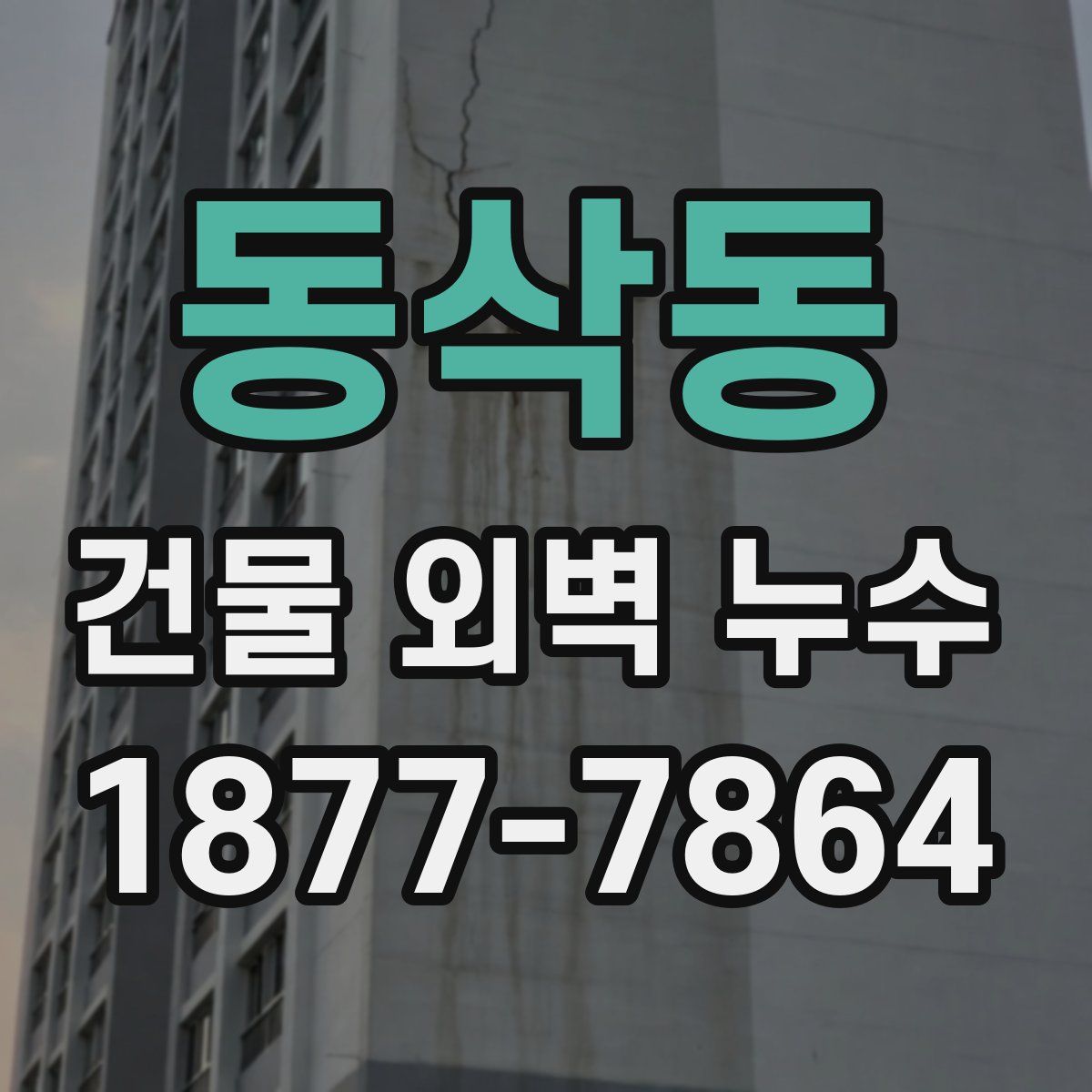 동삭동 건물 외벽 누수
