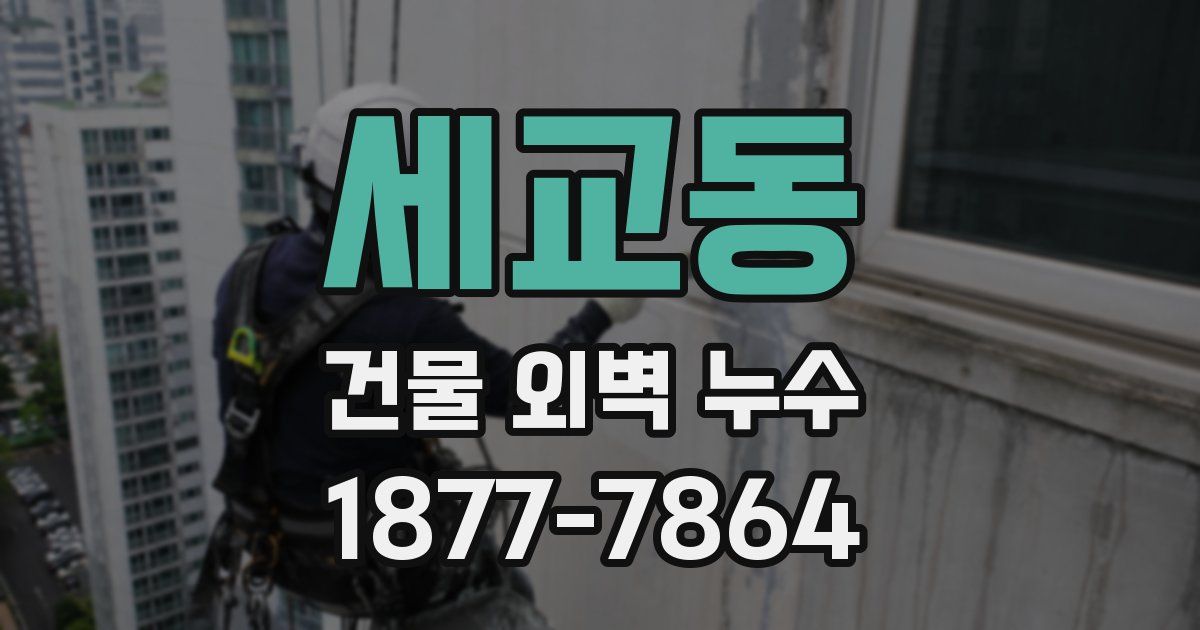 세교동 건물 외벽 누수