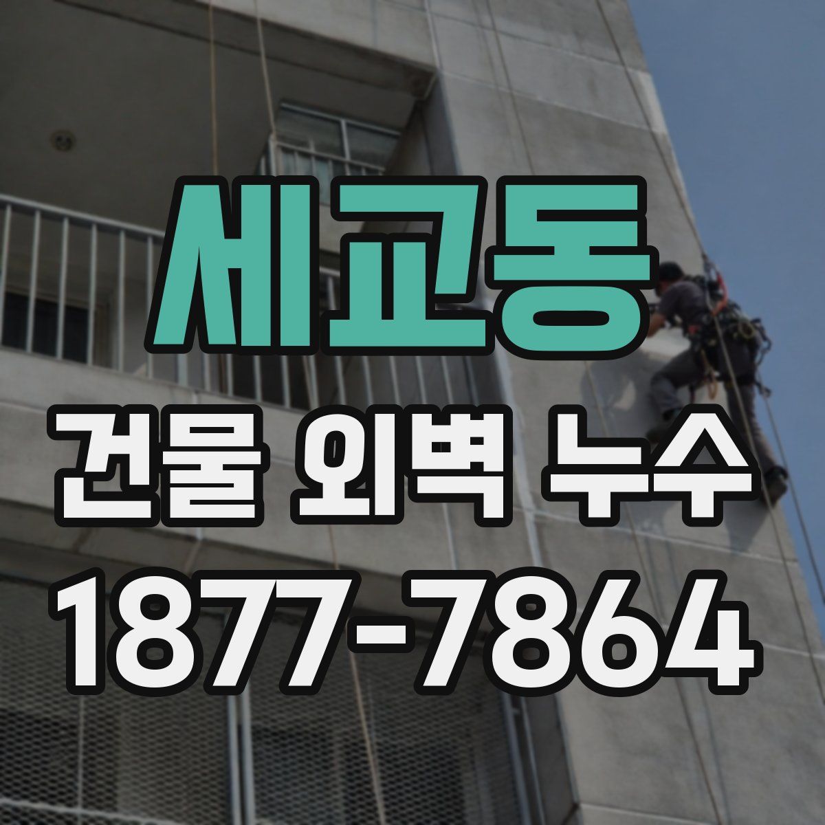 세교동 건물 외벽 누수