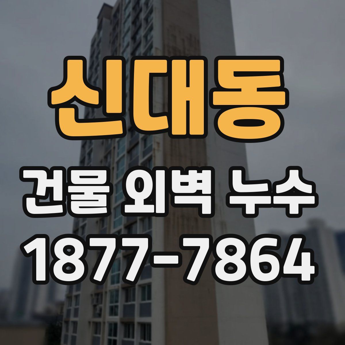 신대동 건물 외벽 누수