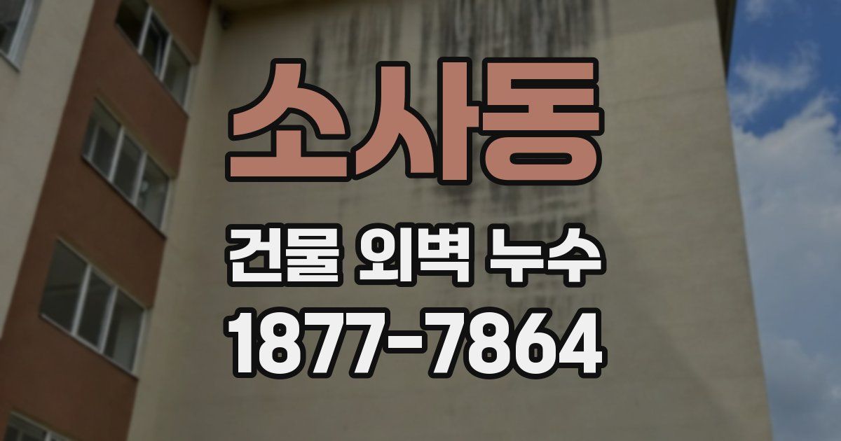 소사동 건물 외벽 누수
