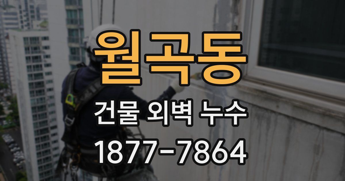 월곡동 건물 외벽 누수