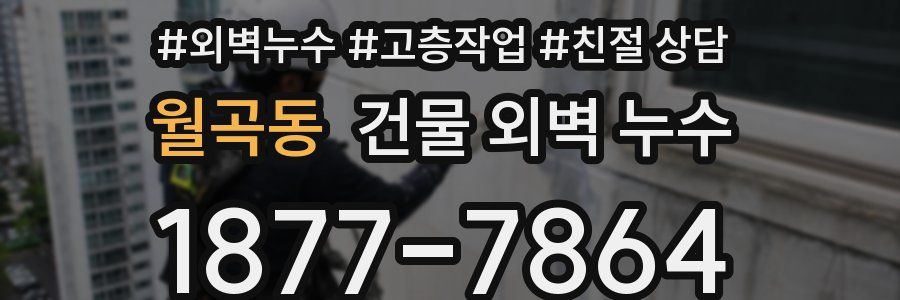 월곡동 건물 외벽 누수