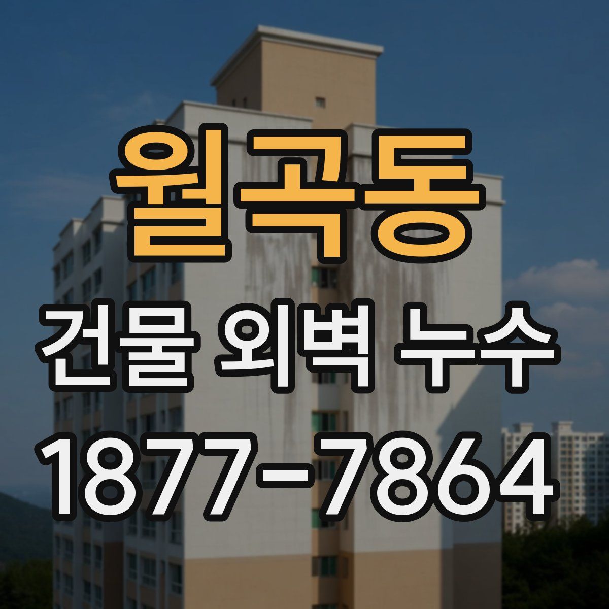 월곡동 건물 외벽 누수
