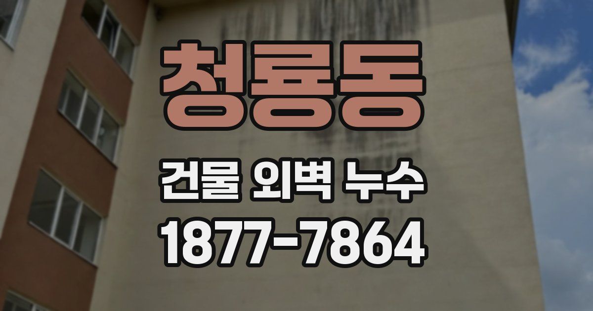 청룡동 건물 외벽 누수
