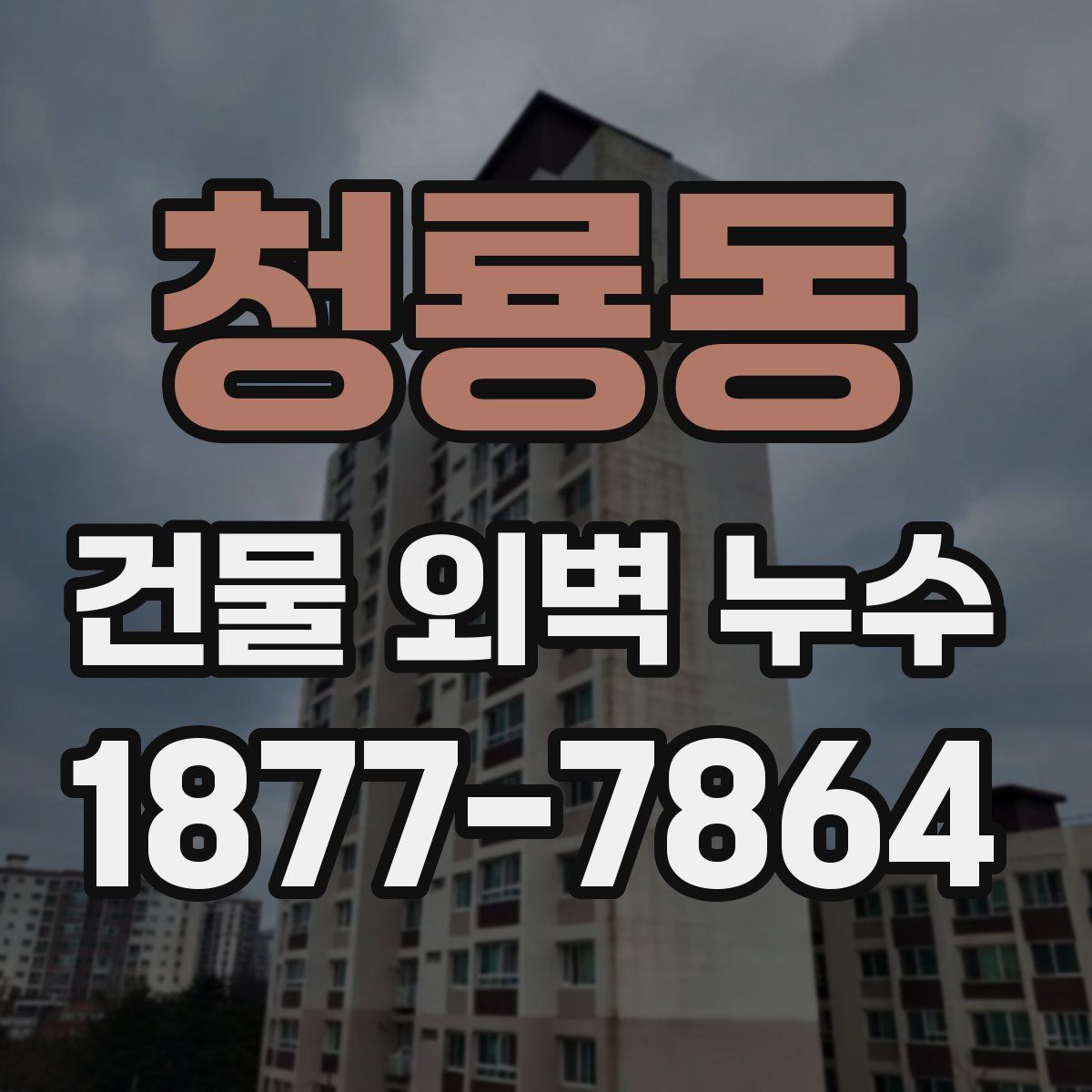 청룡동 건물 외벽 누수