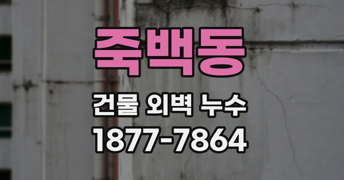 죽백동 건물 외벽 누수