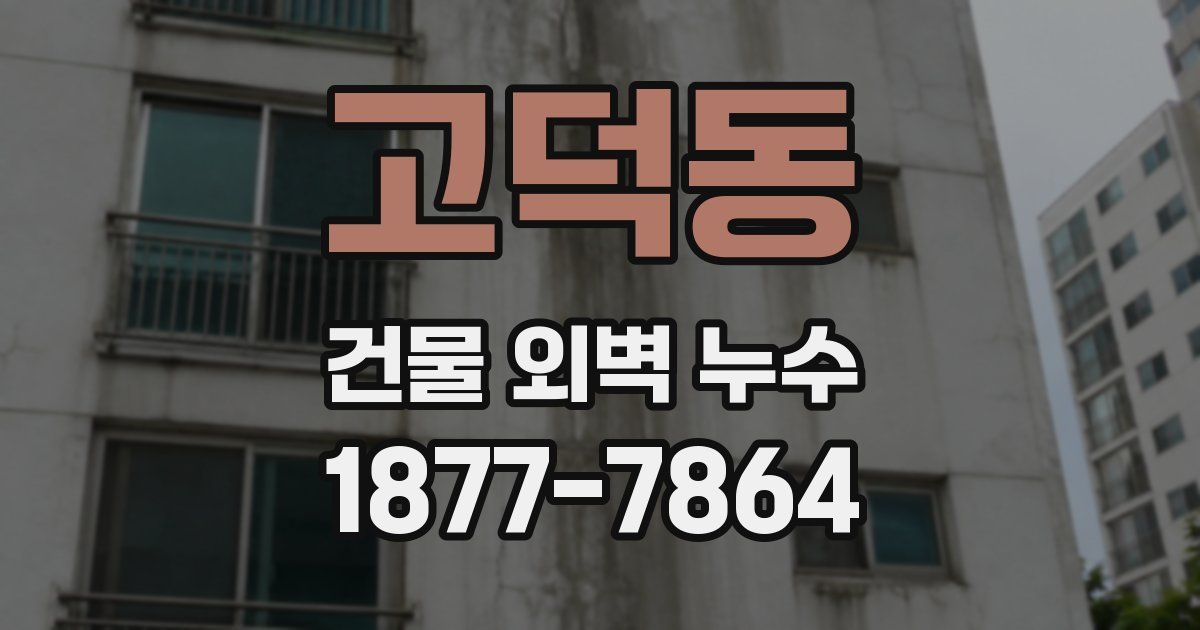 고덕동 건물 외벽 누수