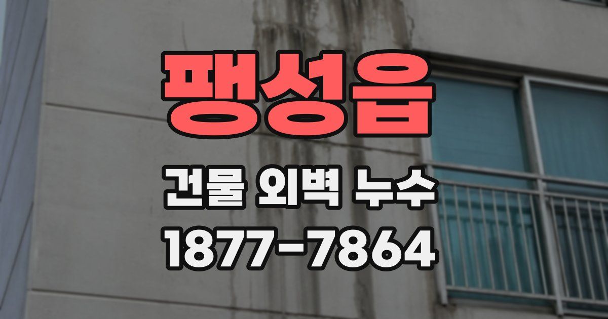 팽성읍 건물 외벽 누수