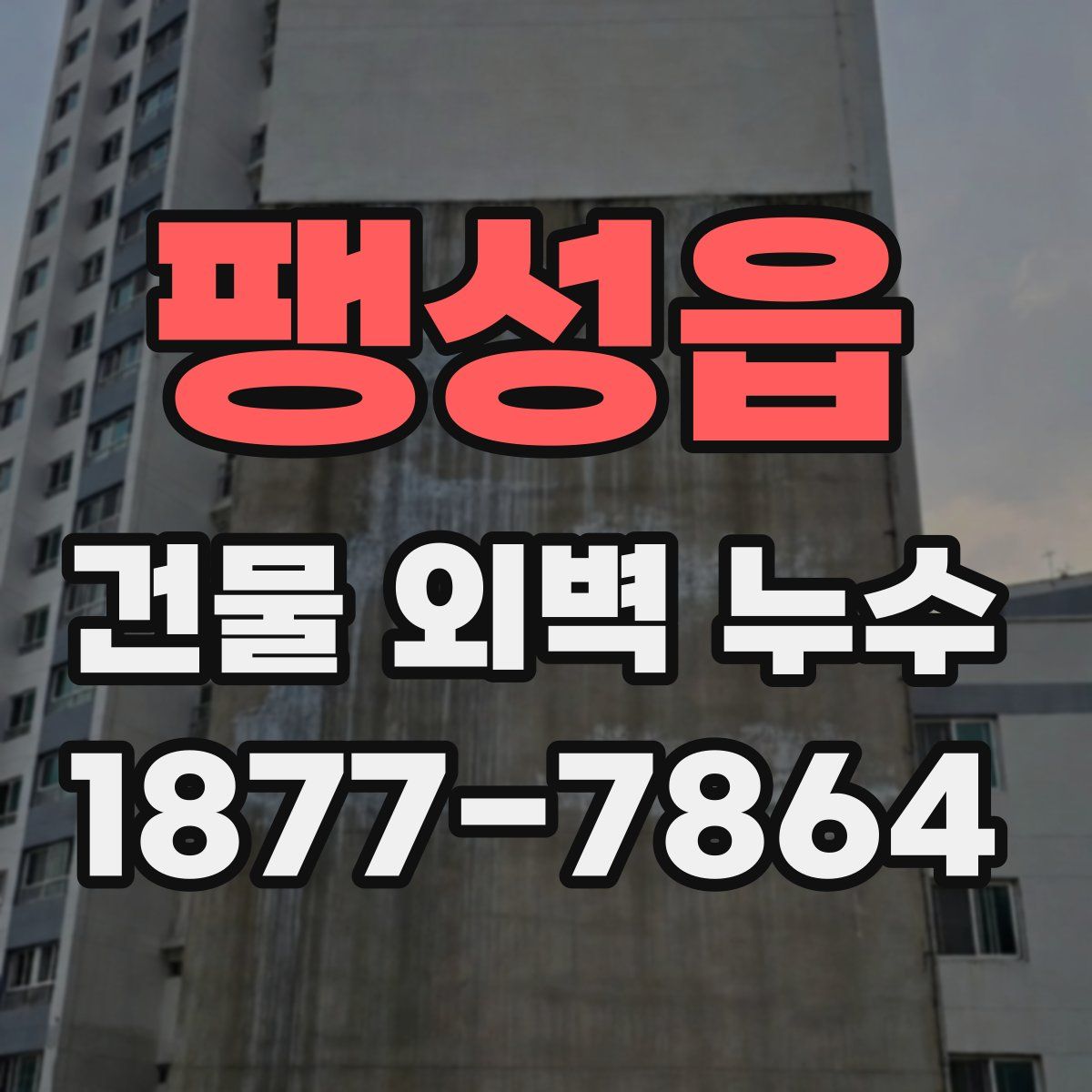 팽성읍 건물 외벽 누수
