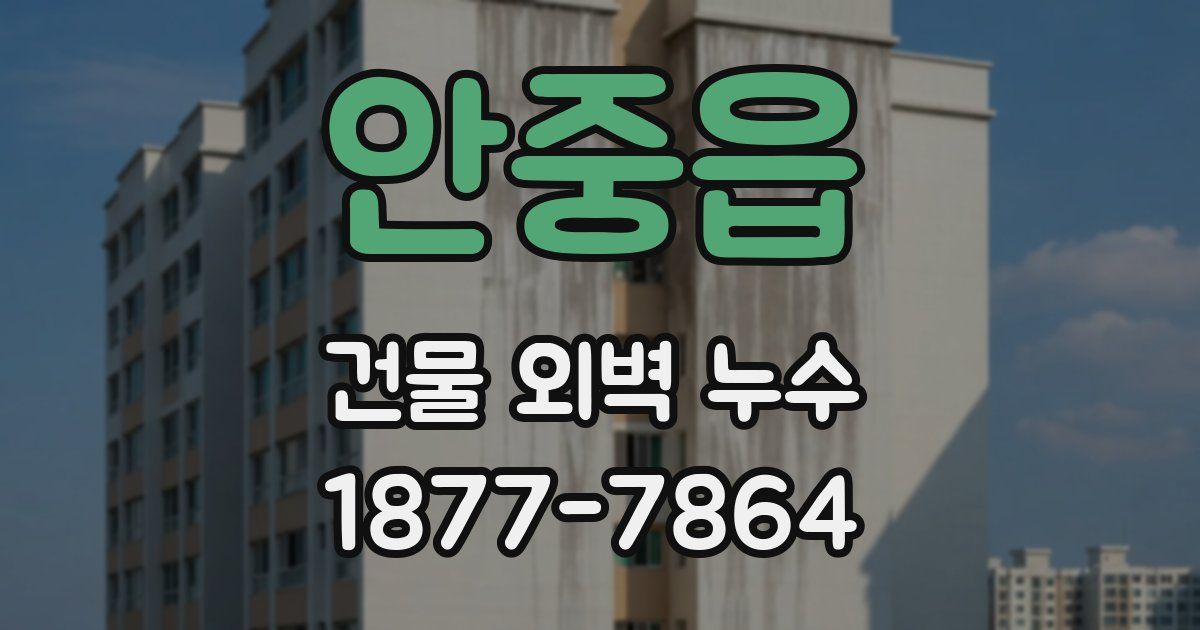 안중읍 건물 외벽 누수