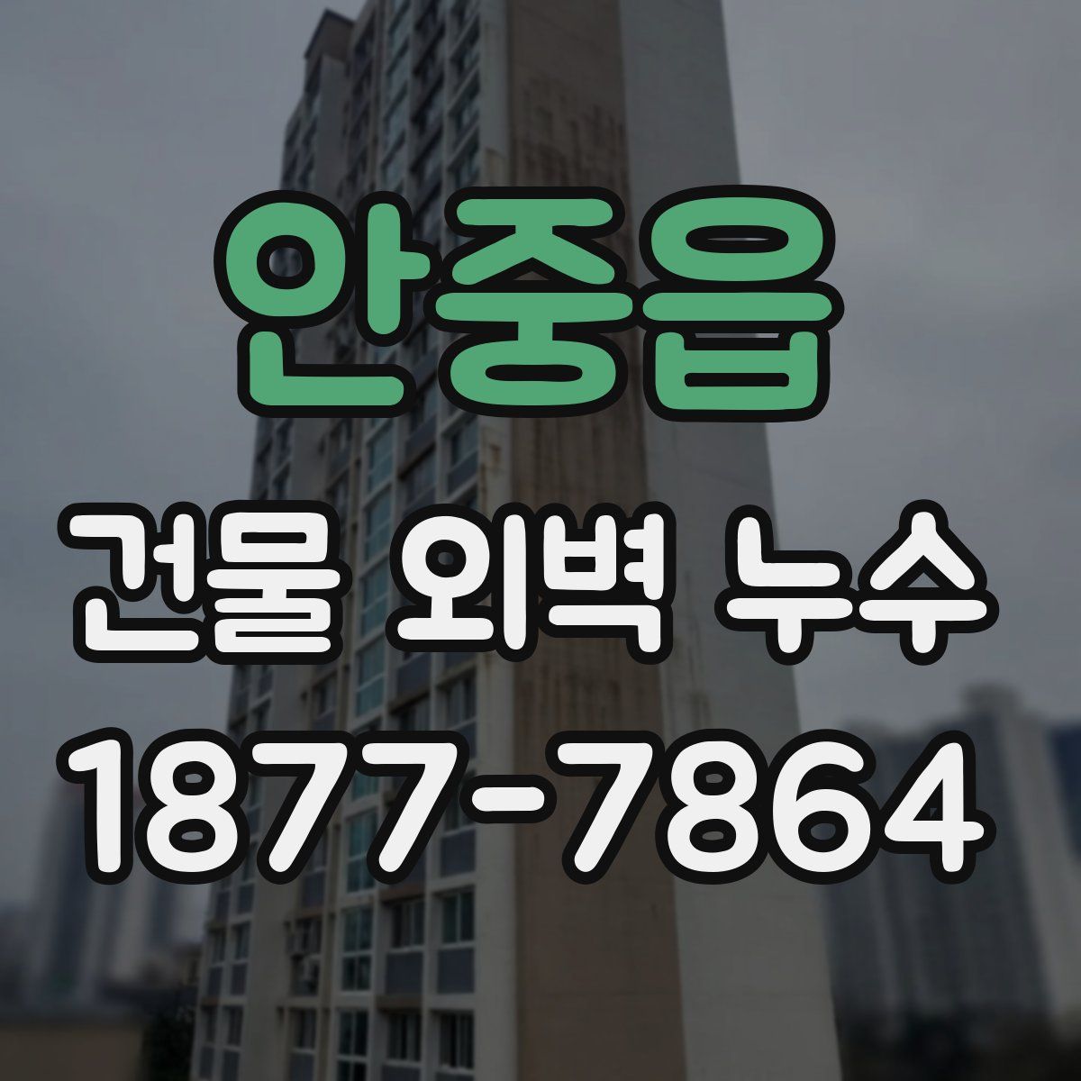 안중읍 건물 외벽 누수