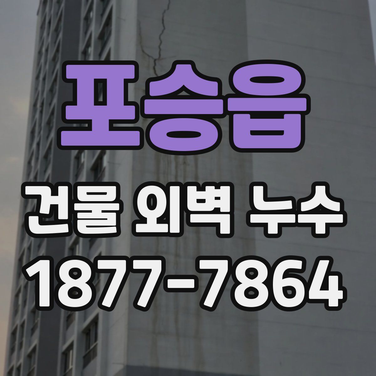 포승읍 건물 외벽 누수