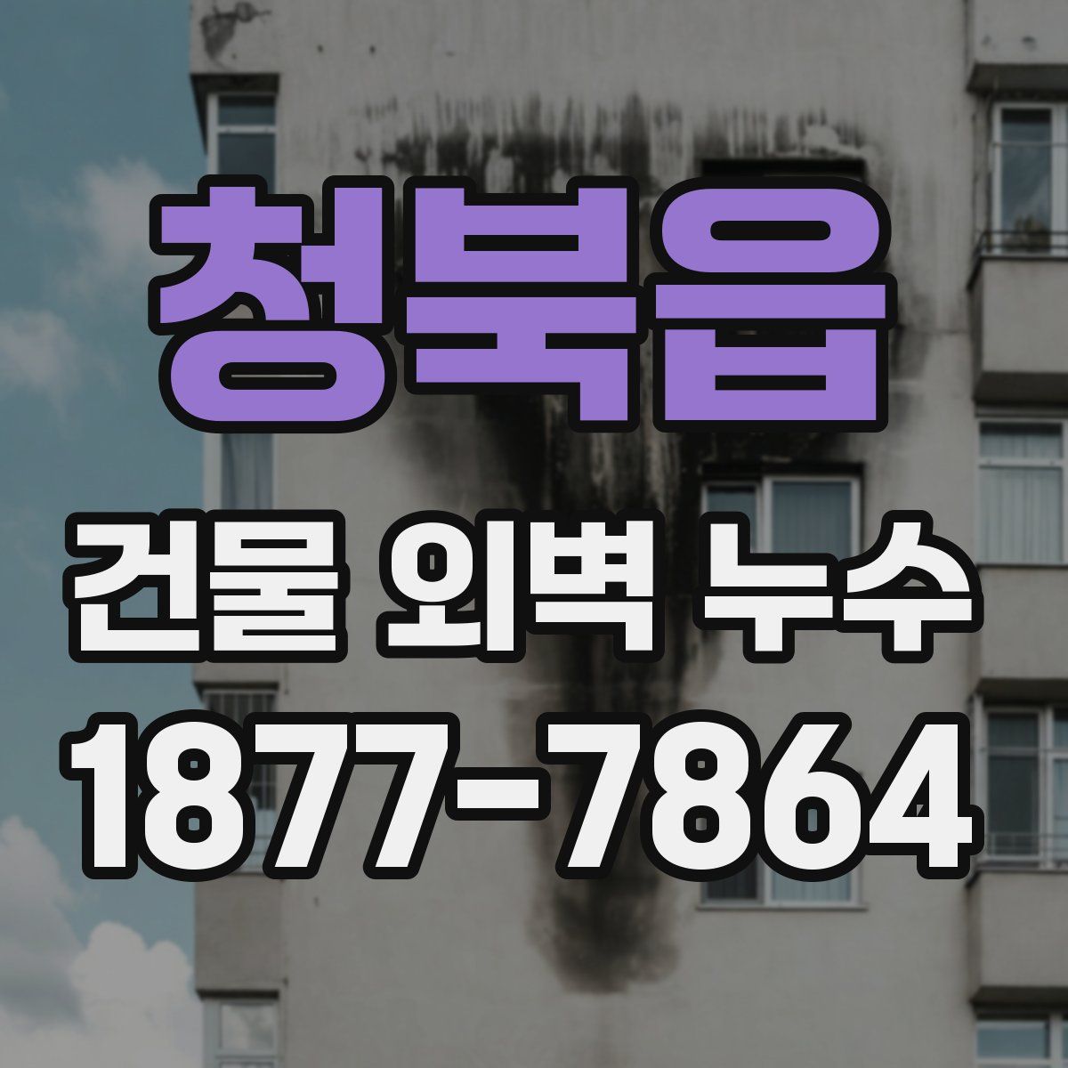 청북읍 건물 외벽 누수