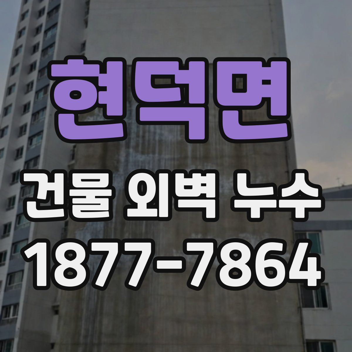 현덕면 건물 외벽 누수