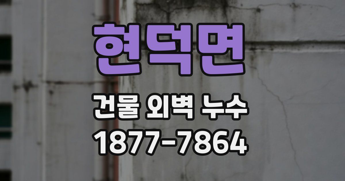 현덕면 건물 외벽 누수