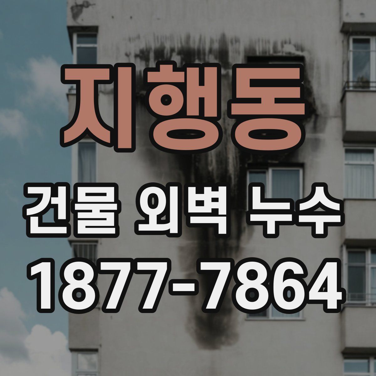 지행동 건물 외벽 누수