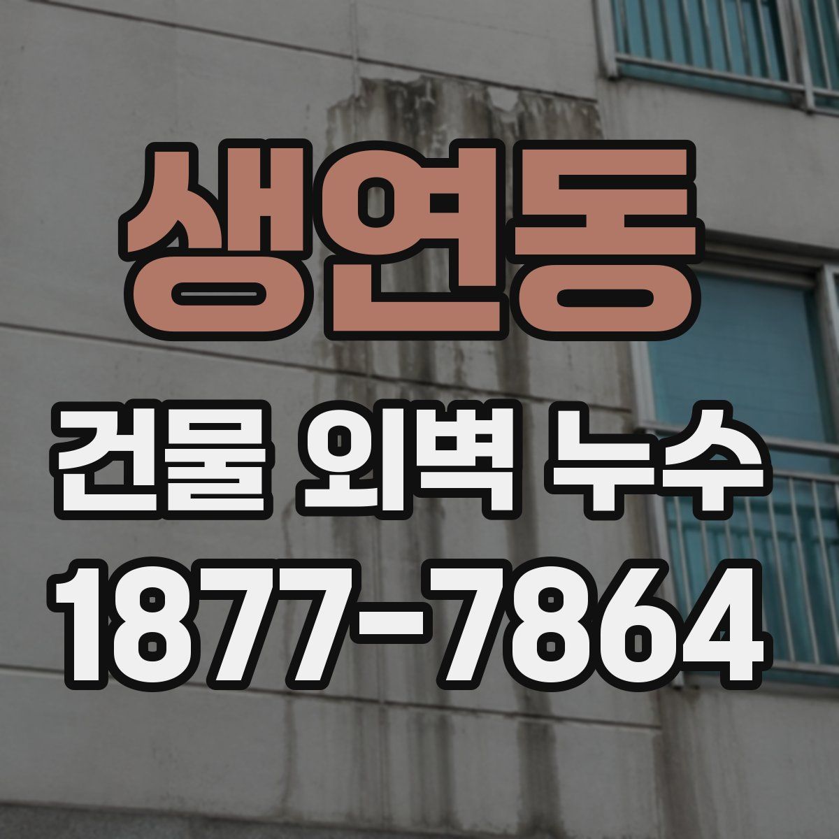 생연동 건물 외벽 누수