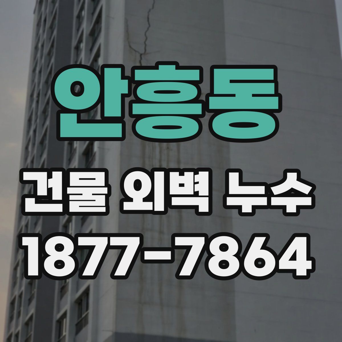 안흥동 건물 외벽 누수